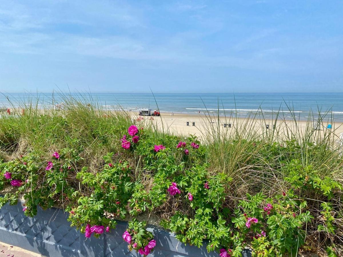 @54 Apartment Zandvoort Bagian luar foto
